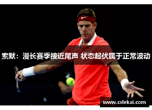 索默：漫长赛季接近尾声 状态起伏属于正常波动