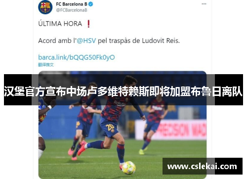 汉堡官方宣布中场卢多维特赖斯即将加盟布鲁日离队