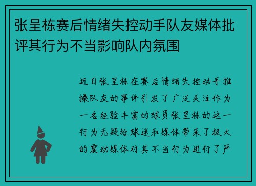 张呈栋赛后情绪失控动手队友媒体批评其行为不当影响队内氛围