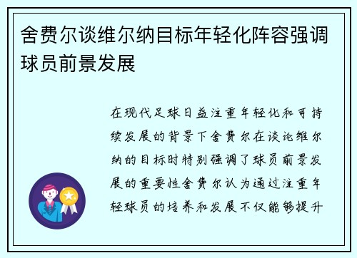 舍费尔谈维尔纳目标年轻化阵容强调球员前景发展